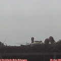 08_30-mast.jpg