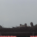 08_35-mast.jpg