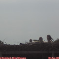 08_40-mast.jpg