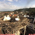 08_40-nest.jpg