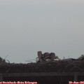 08_55-mast.jpg