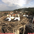 08_55-nest.jpg
