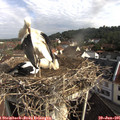 09_05-nest.jpg