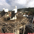 09_10-nest.jpg