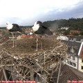 12_25-nest.jpg