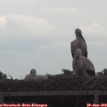 12_55-mast.jpg