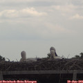 13_05-mast.jpg