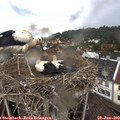 13_35-nest.jpg