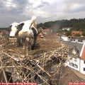 14_10-nest.jpg
