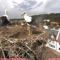 14_20-nest.jpg
