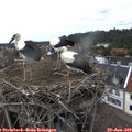 15_10-nest.jpg