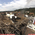 15_25-nest.jpg