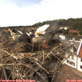 15_30-nest.jpg