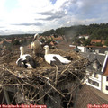 16_45-nest.jpg