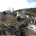 17_35-nest.jpg