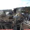 18_55-nest.jpg