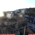 20_15-nest.jpg