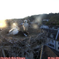 20_40-nest.jpg