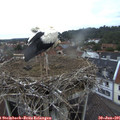 06_00-nest.jpg