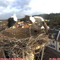 06_40-nest.jpg