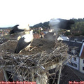 07_05-nest.jpg