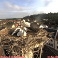 07_40-nest.jpg