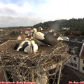 07_45-nest.jpg