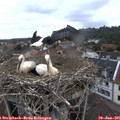 09_00-nest.jpg