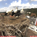 14_15-nest.jpg