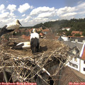 14_55-nest.jpg