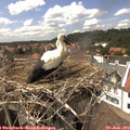 15_05-nest.jpg