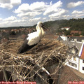 15_15-nest.jpg