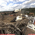 16_00-nest.jpg