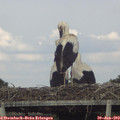 17_35-mast.jpg