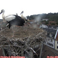 18_25-nest.jpg