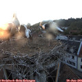 20_55-nest.jpg