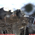 07_40-nest.jpg