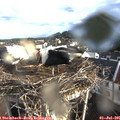 07_45-nest.jpg