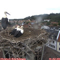 10_05-nest.jpg