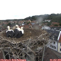 10_15-nest.jpg