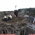 10_20-nest.jpg