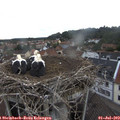 10_30-nest.jpg