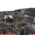 10_35-nest.jpg