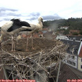 13_35-nest.jpg