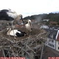 14_25-nest.jpg