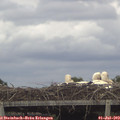 14_40-mast.jpg