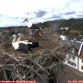 16_20-nest.jpg
