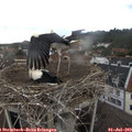 18_45-nest.jpg