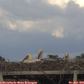 19_35-mast.jpg