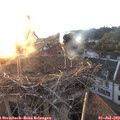 21_00-nest.jpg